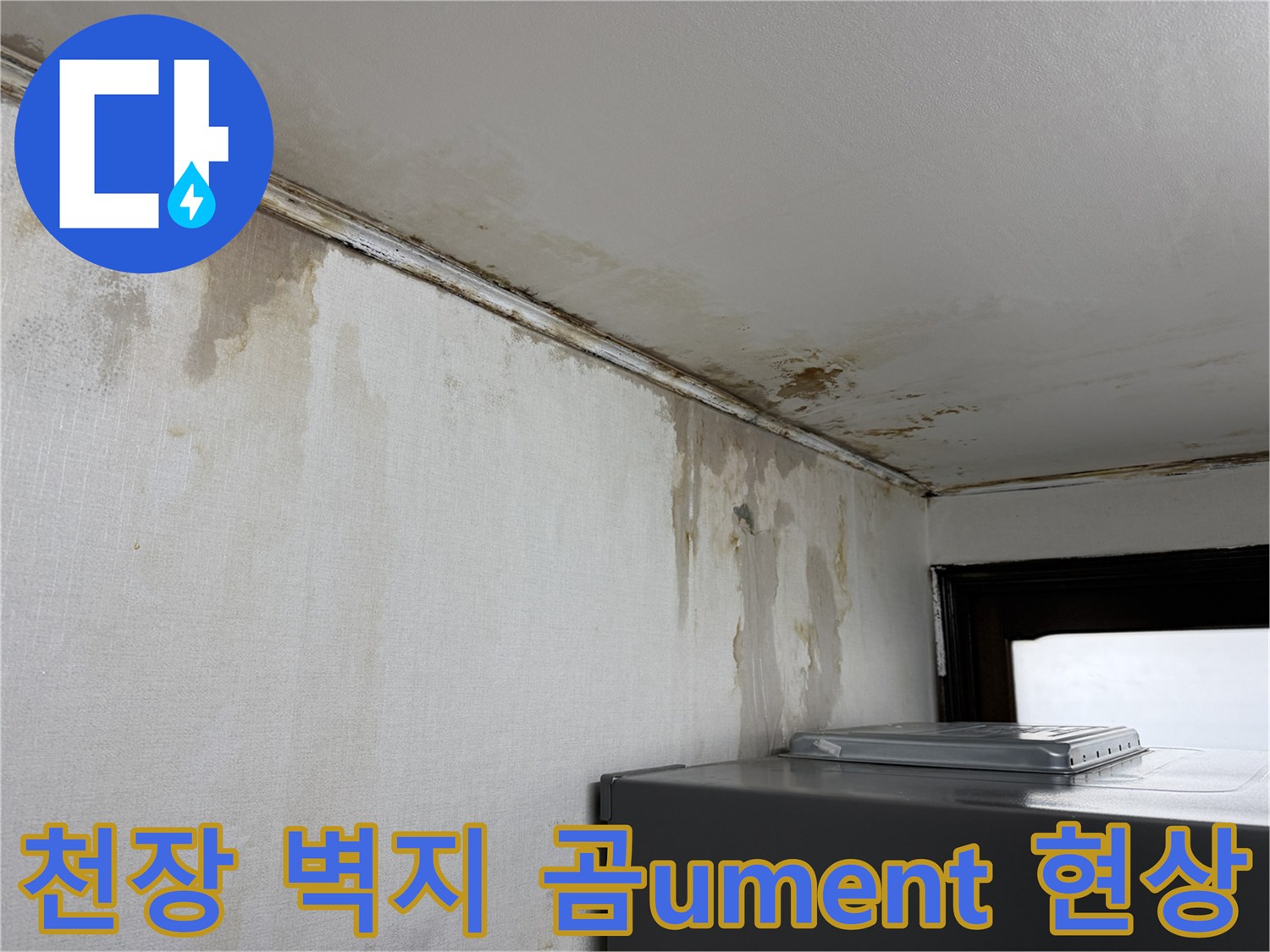 천장 모서리 부근-벽지 오염 및 곰팡이 번식 상태