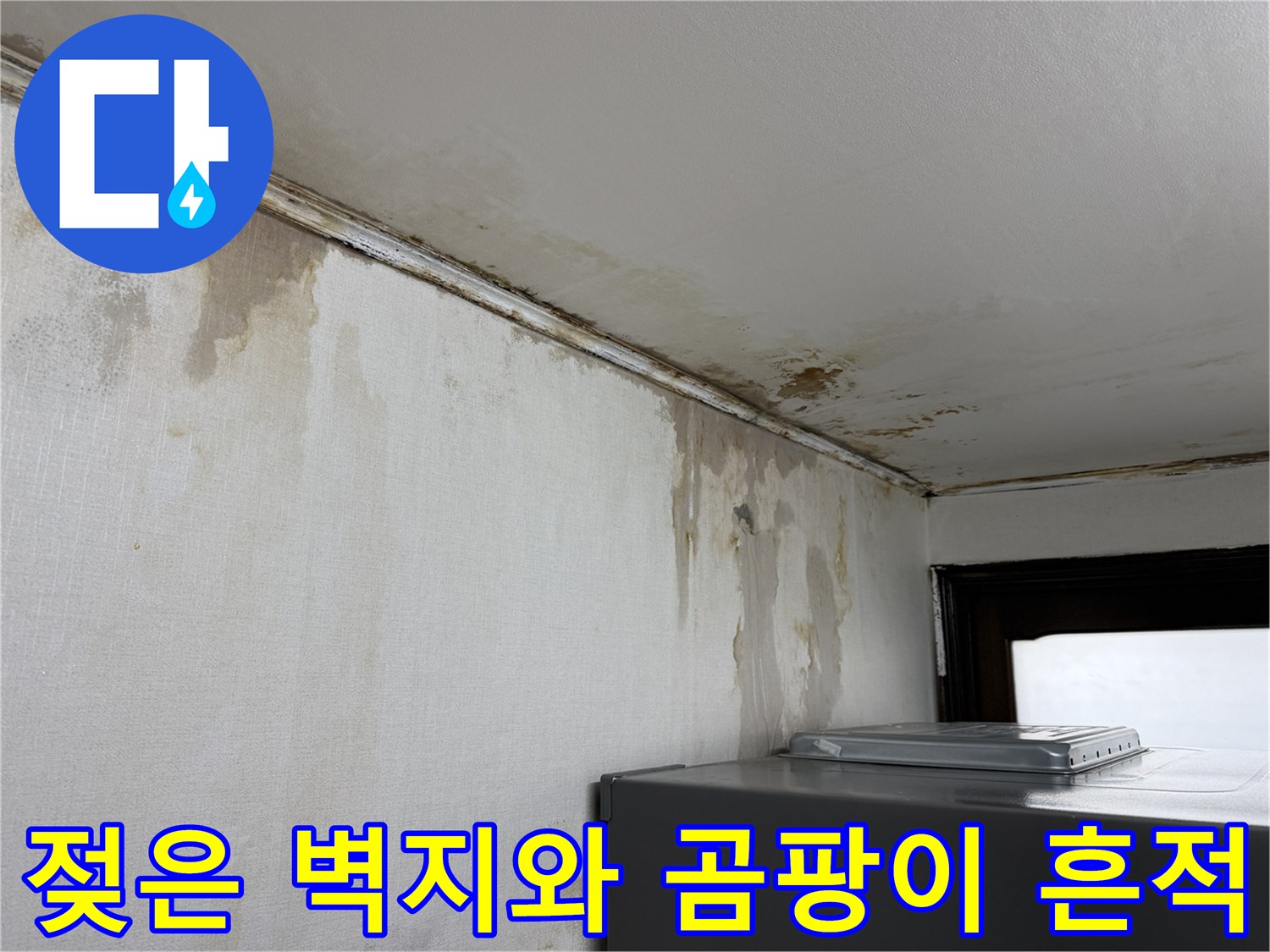 천장과 벽면 사이의 심한 습기 및 변색 현상