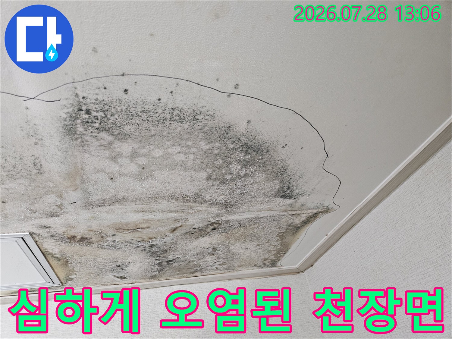 곰팡이와 물자국으로 인해 변색된 주방 천장 마감재 모습