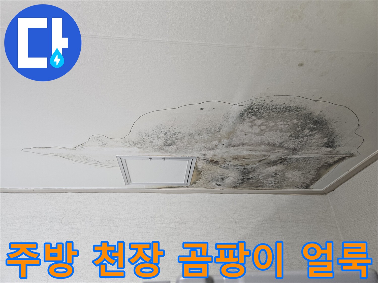 물샘 현상으로 인해 젖어버린 주방 천장의 곰팡이 상태