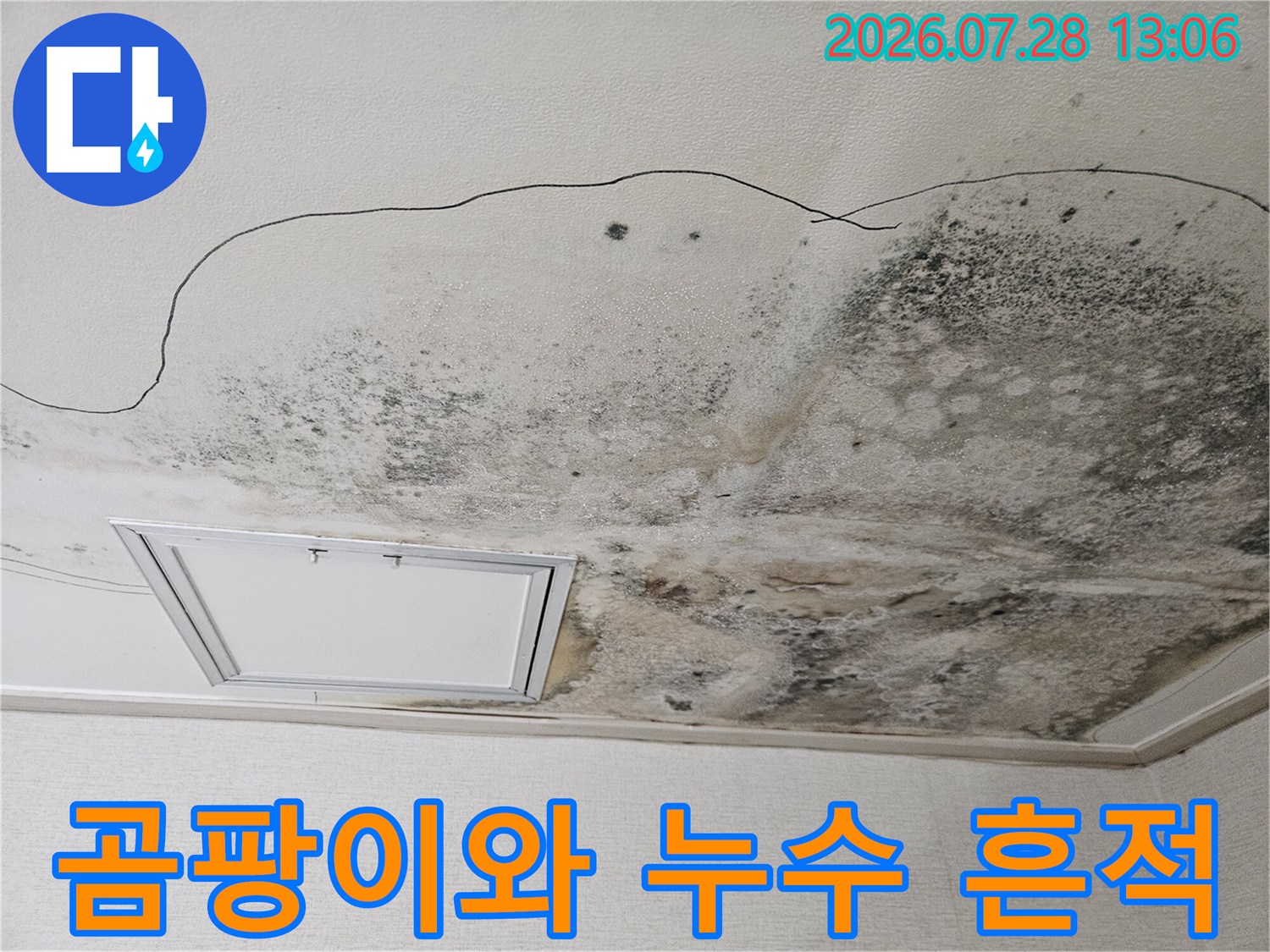 배수구 주변으로 퍼진 곰팡이와 물자국이 선명한 천장면