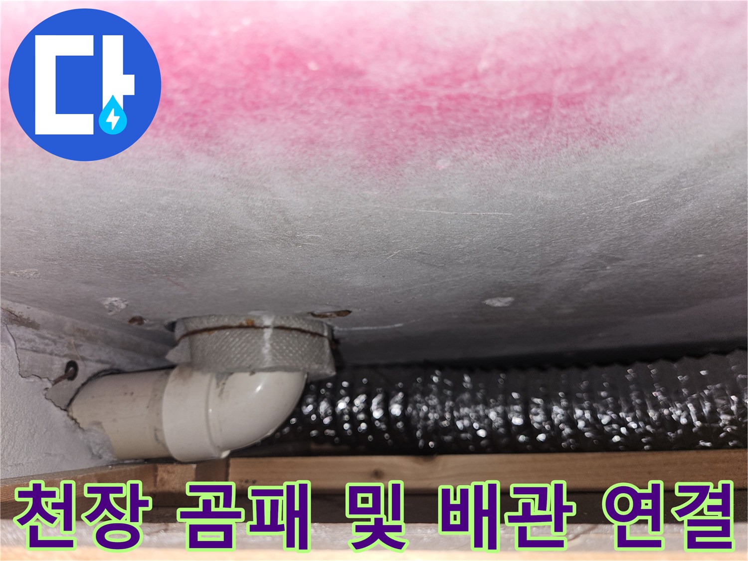 분홍색 곰팡이가 핀 천장면과 하부의 흰색 PVC 배관 부속