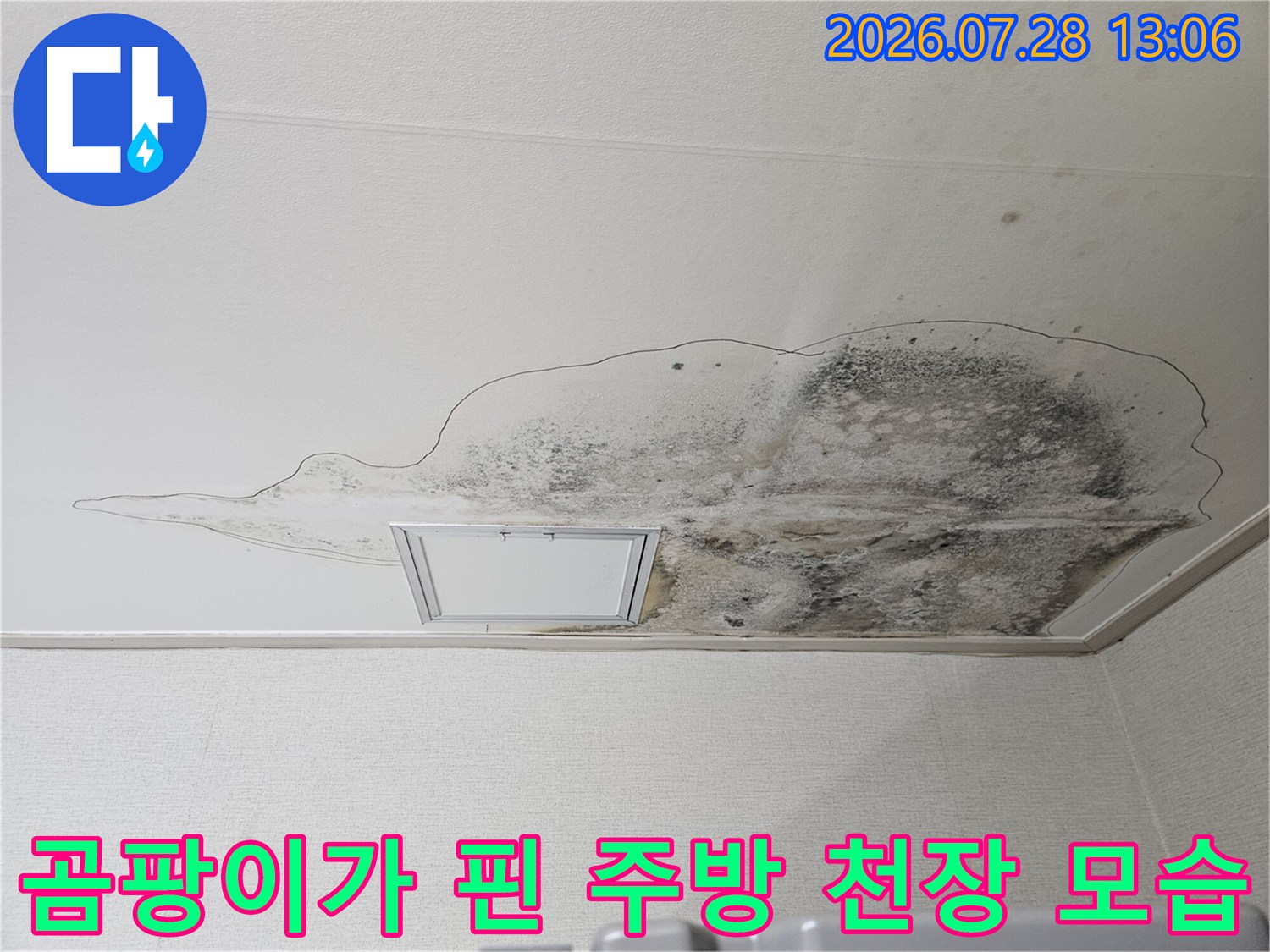 천장에 번진 검은 곰팡이와 물자국으로 인한 피해 상태
