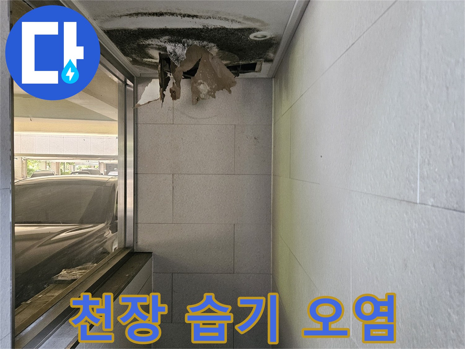 욕실 천장 경계면의 곰팡이와 얼룩 부위