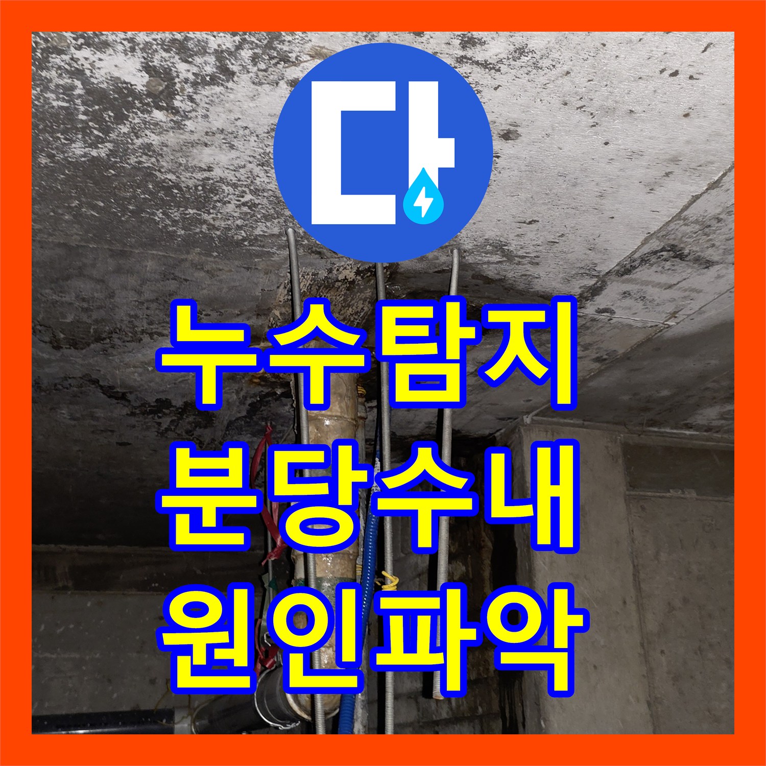 누수탐지 분당구 수내동 상가 천장 물샘 원인을 분석하고 보수한 과정