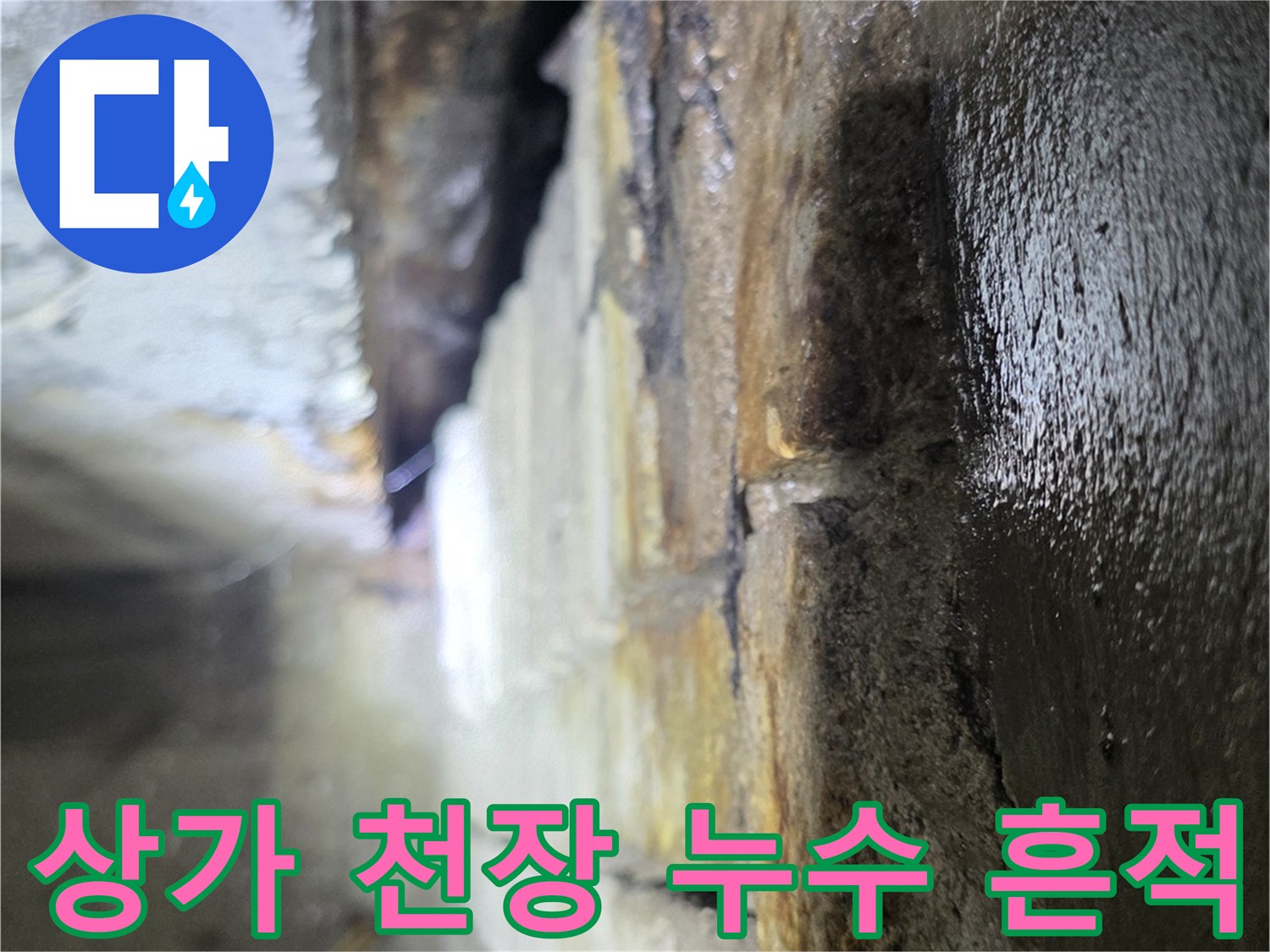 분당-수내동-상가-천장-누수-흔적-사진