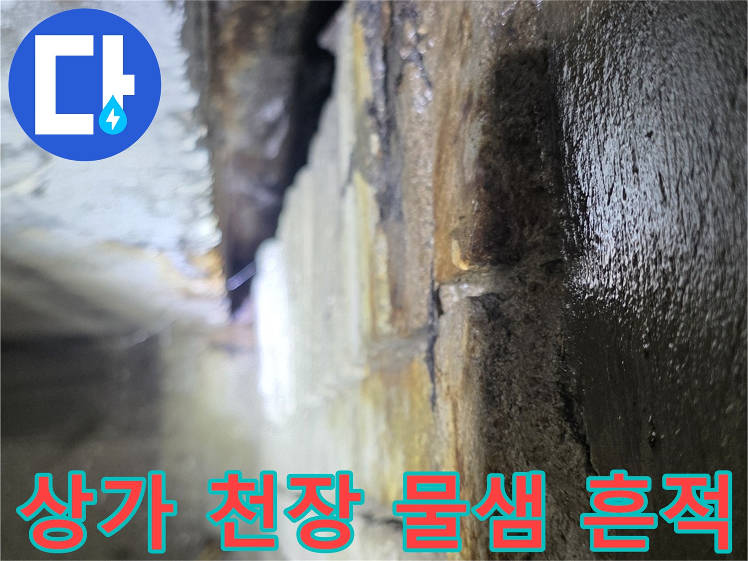 분당-수내동-상가-천장-물샘-흔적-및-습기-상태