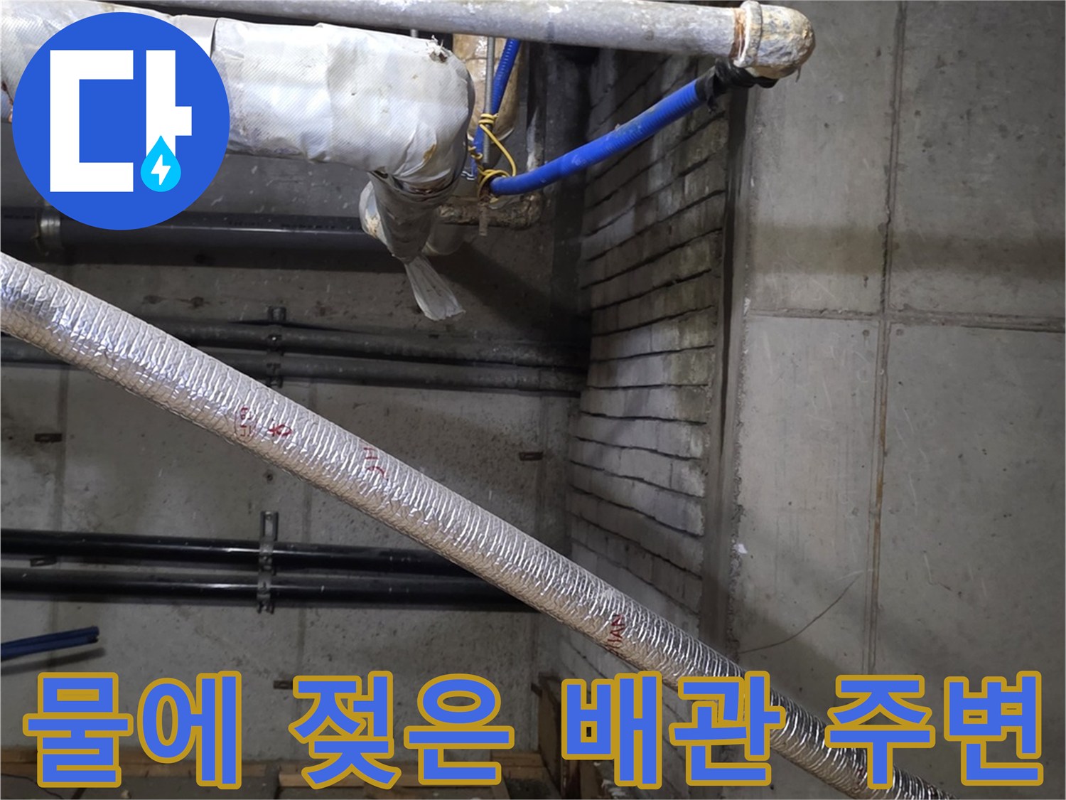 분당-수내동-상가-천장-배관-주변-습기-및-오염