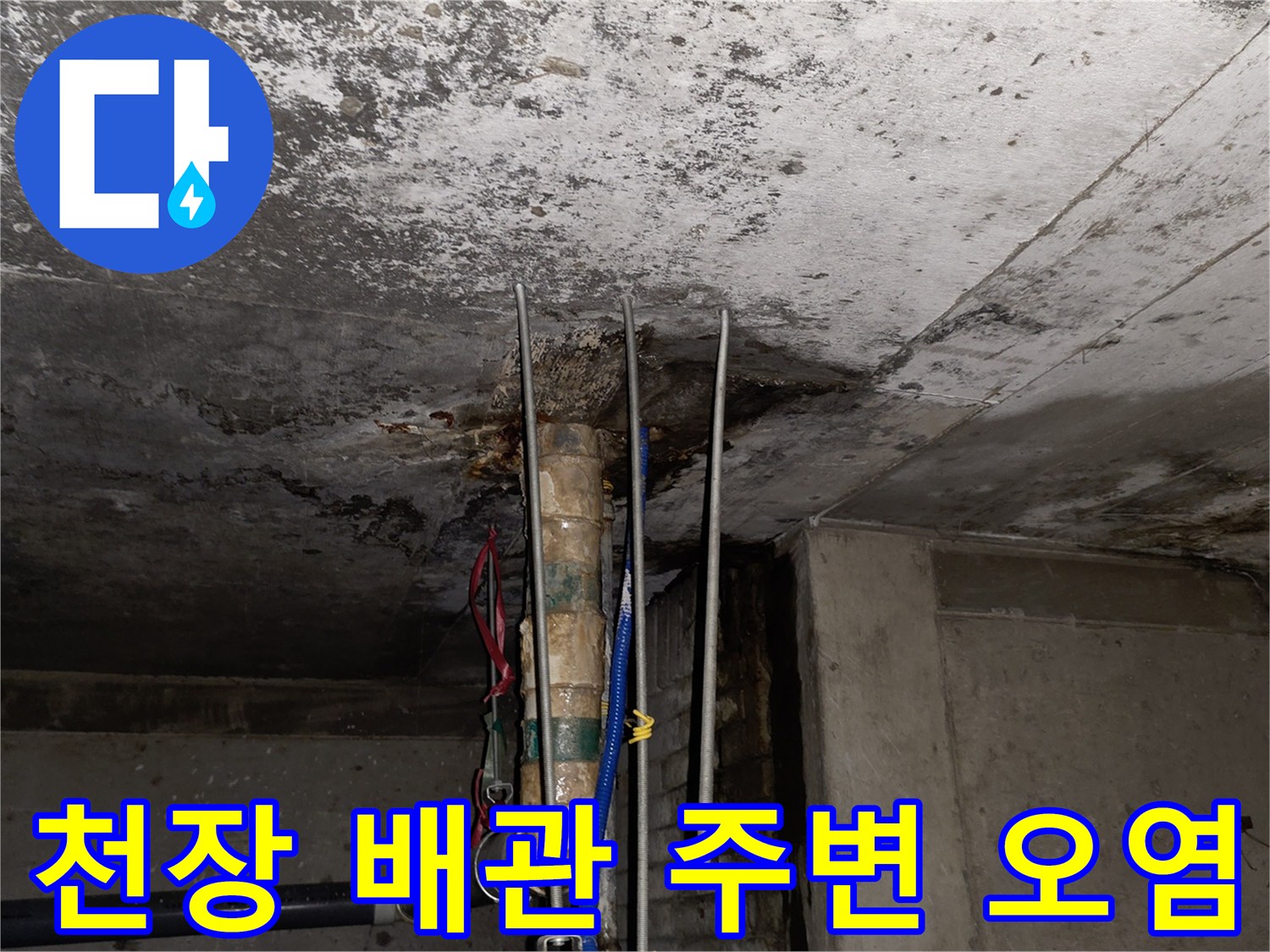 분당-수내동-상가-천장-배관-주변-습기-및-오염