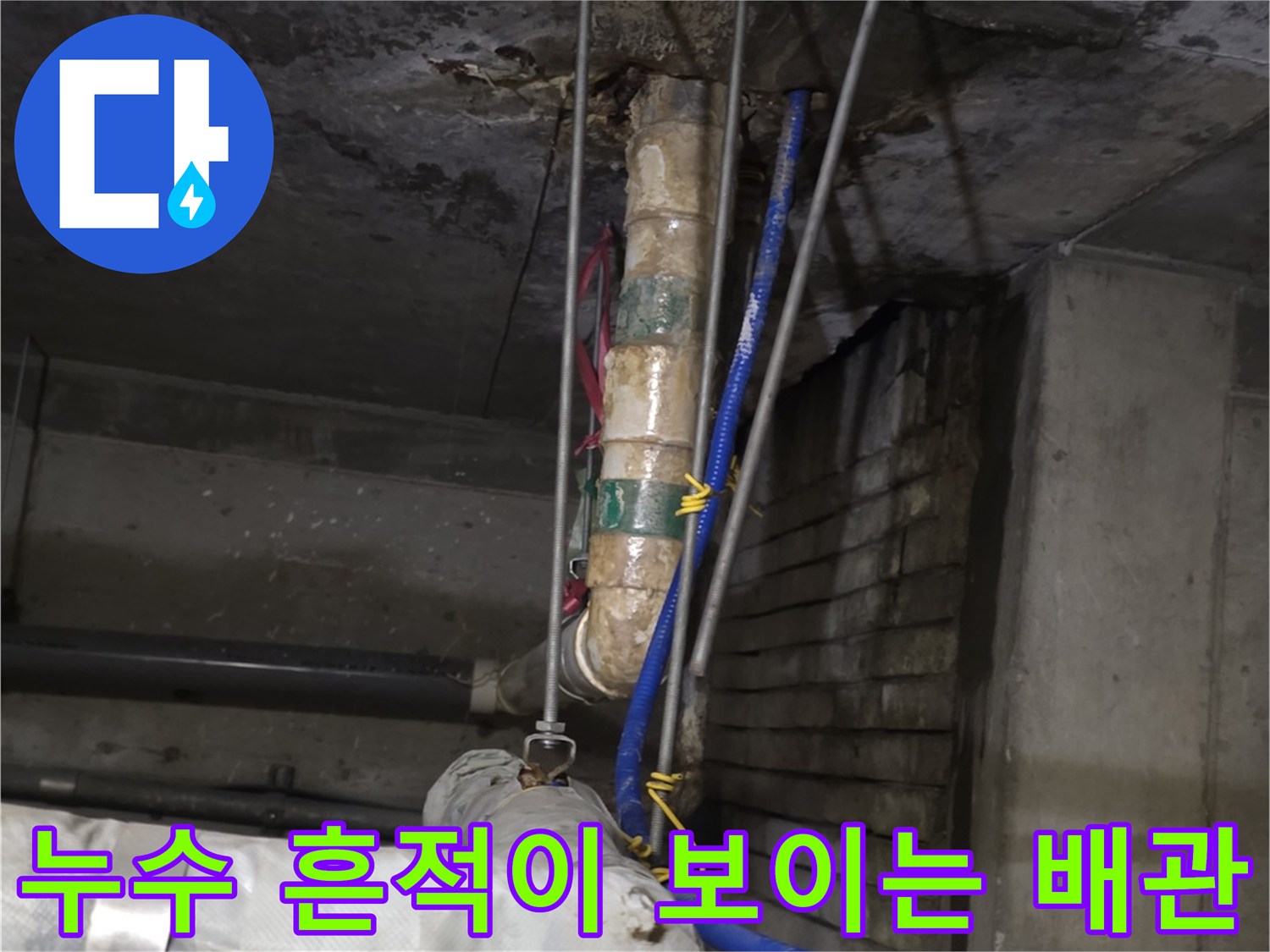 분당-수내점검-배관-주변-습기-및-오염