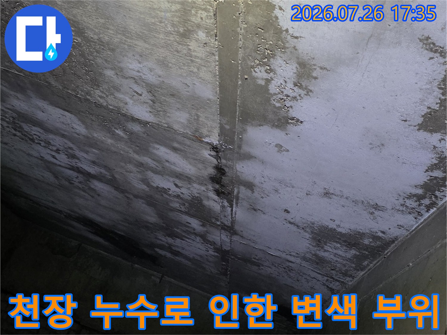 습기로 인해 얼룩지고 곰팡이가 발생한 상가 천장의 콘크리트 면-누수 피해 상황