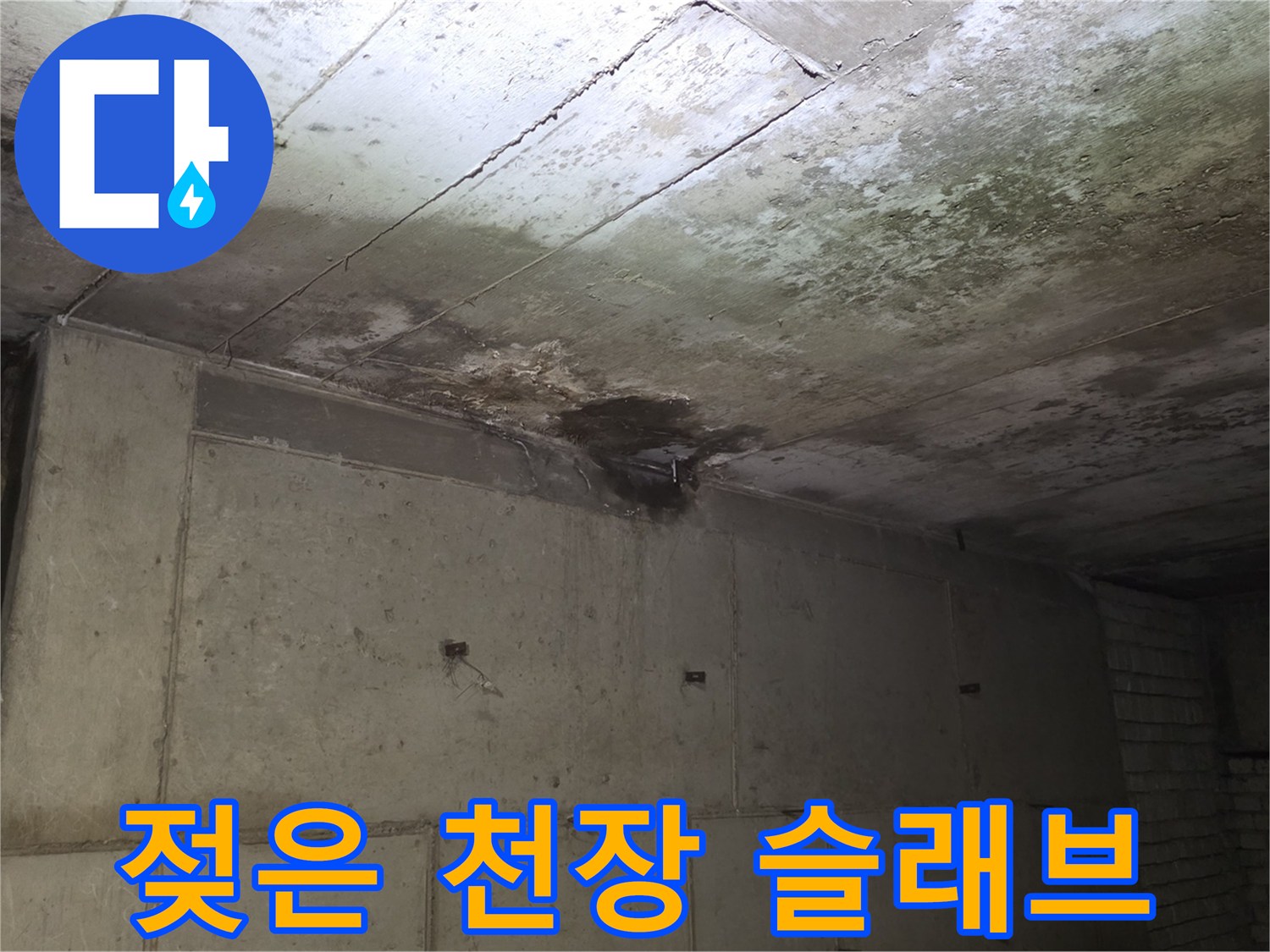 습기와 곰팡이로 오염된 상가 내부 천장 콘크리트