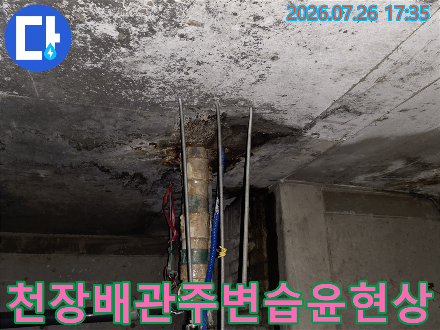 천장에-설치된-배관과-그-주변으로-번진-어두운-물-얼룩-사진