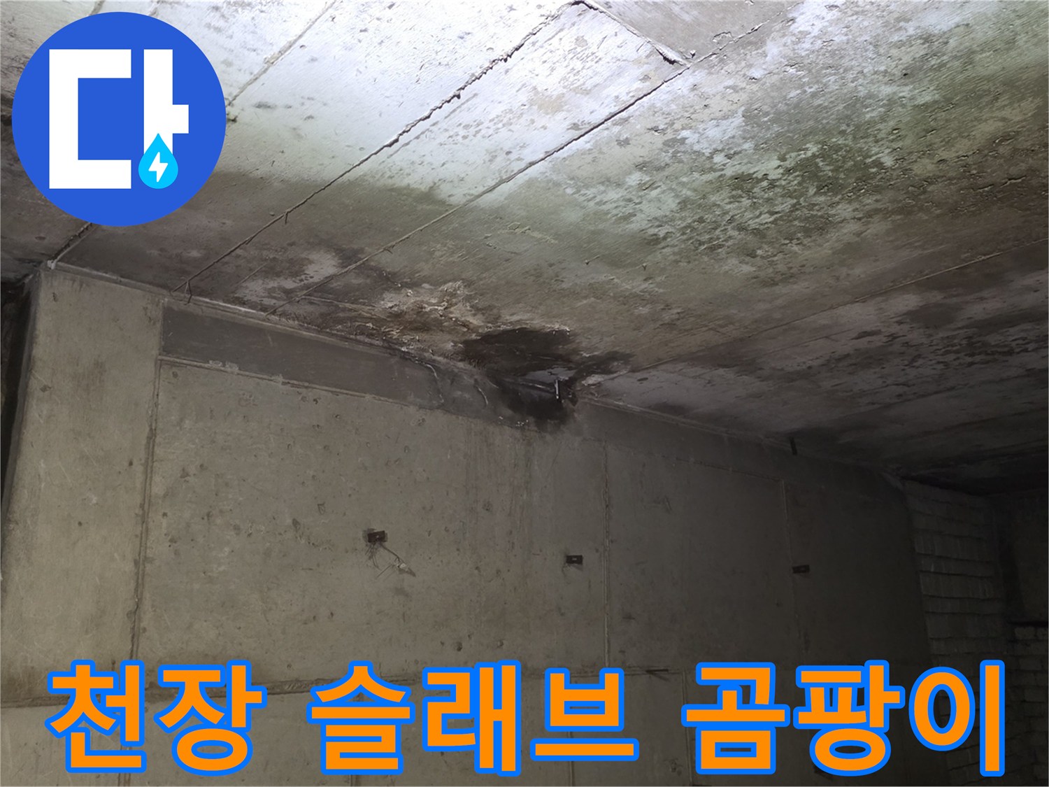 콘크리트 천장 면에 발생한 광범위한 곰팡이와 오염
