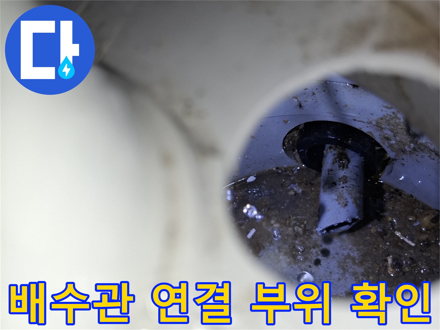 서대모구 아파트 - 세탁실 배수구 내부의 배관 상태를 촬영한 사진입니다.