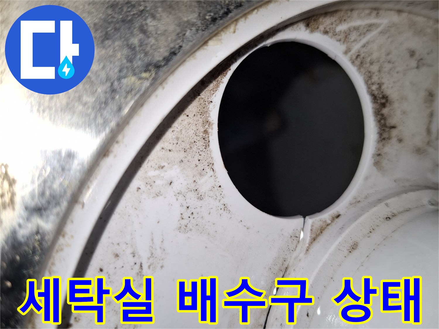 서대연동-아파트-세탁실-배수구-주변-물때-및-오염-상태