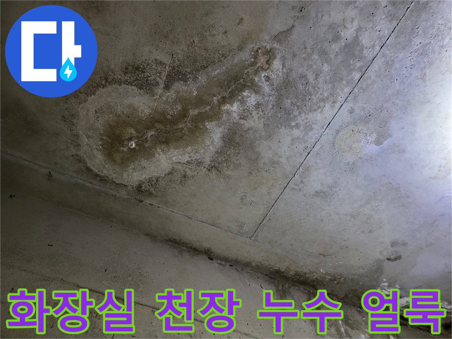 부천 중동 화장실 천장 패널에 발생한 커다란 습기 얼룩과 변색 상태