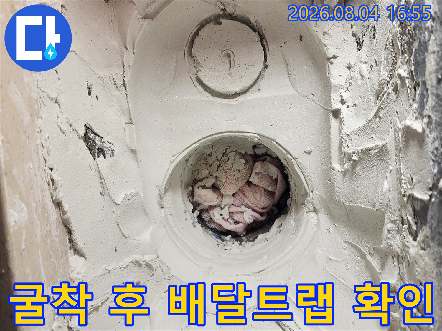 노출된 세탁실 하수구 트랩과 주변 흙이 제거된 상태