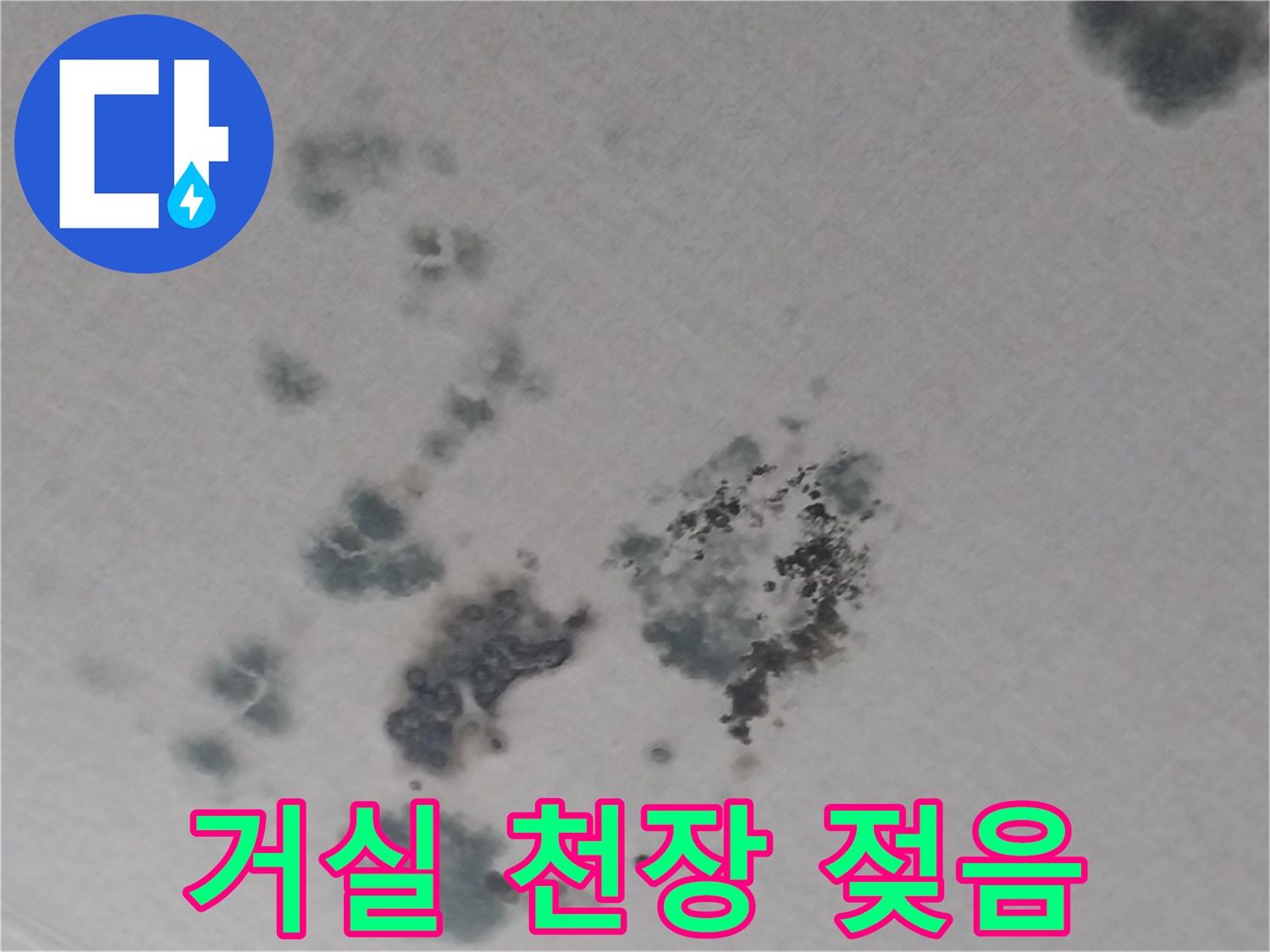 2층-거실-천장-벽지-누수-및-곰팡이-상태