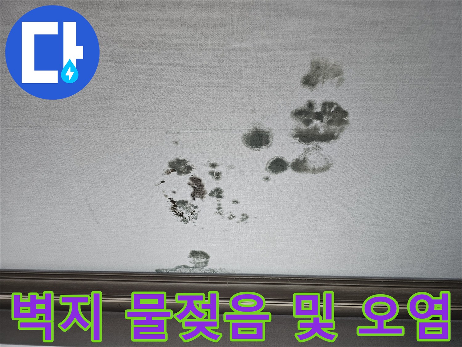 거실 천장 벽지 곳곳에 발생한 검은색 곰팡이와 얼룩