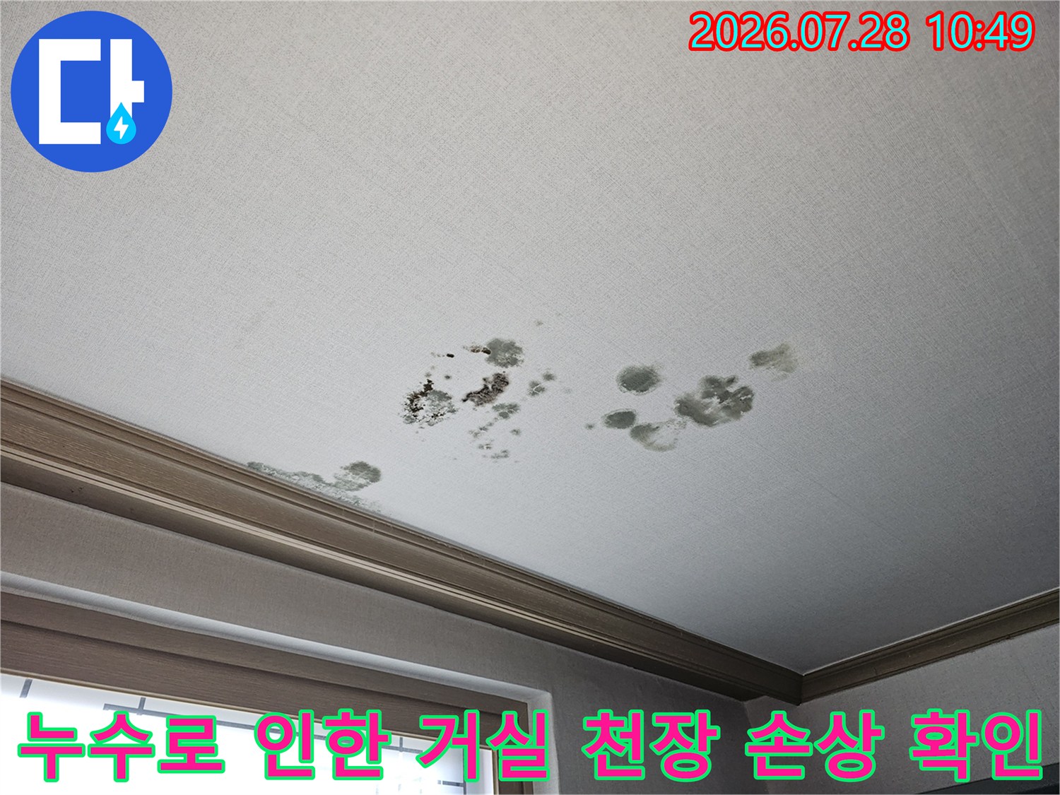 거실 천장의 물샘 얼룩과 곰팡이 발생 현황