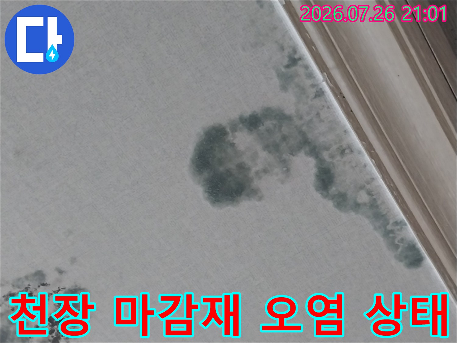 누수로 인한 천장 표면의 변색과 곰팡이 발생 부위