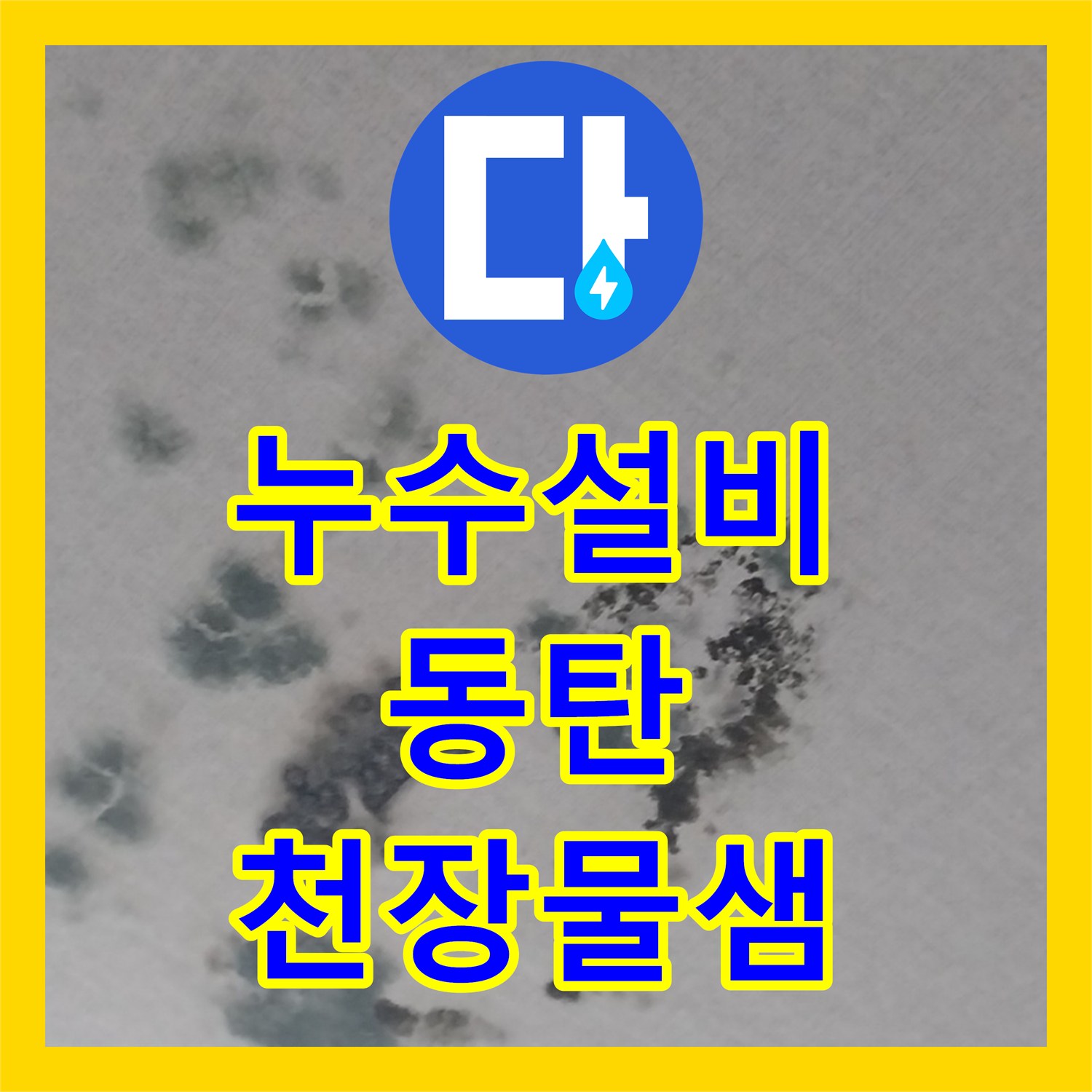 누수설비 상가주택 옥상 배수 불량으로 인한 천장 누수 진단 경기 화성시 동탄