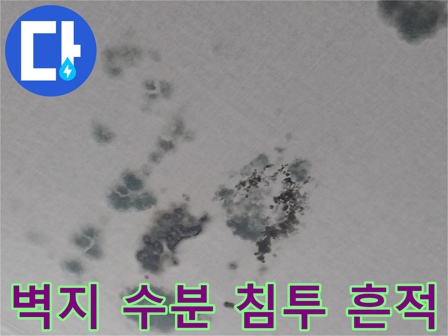 천장 벽면을 따라 넓게 퍼진 물자국과 곰팡이 오염 부위