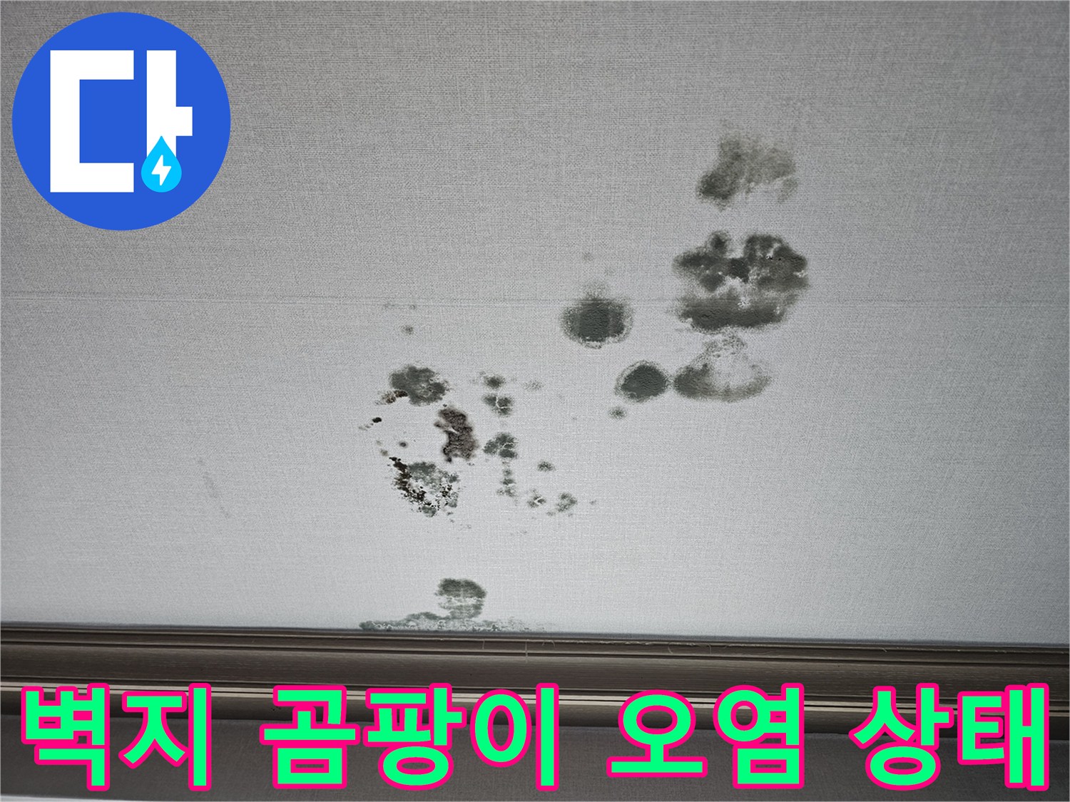 천장 벽지에 발생한 검은색 곰팡이와 습기 얼룩 부위 상세