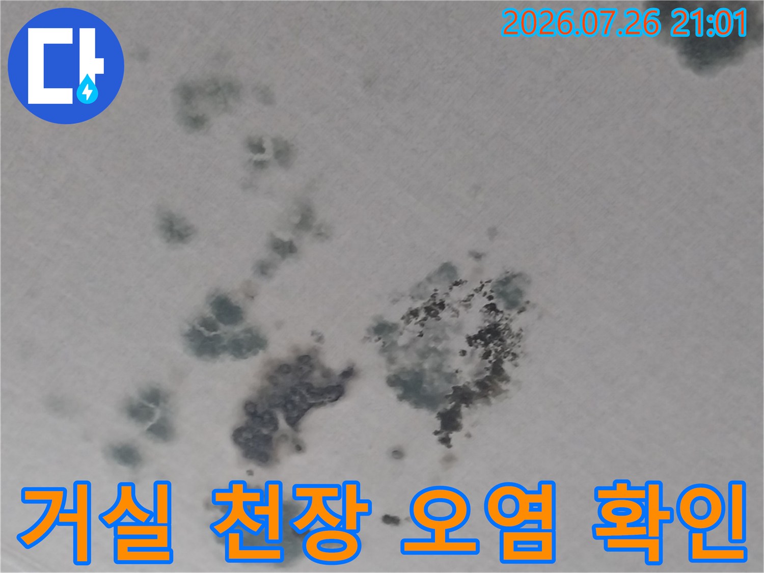 천장에 발생한 누수로 인한 곰팡이 및 수분 침투 얼룩