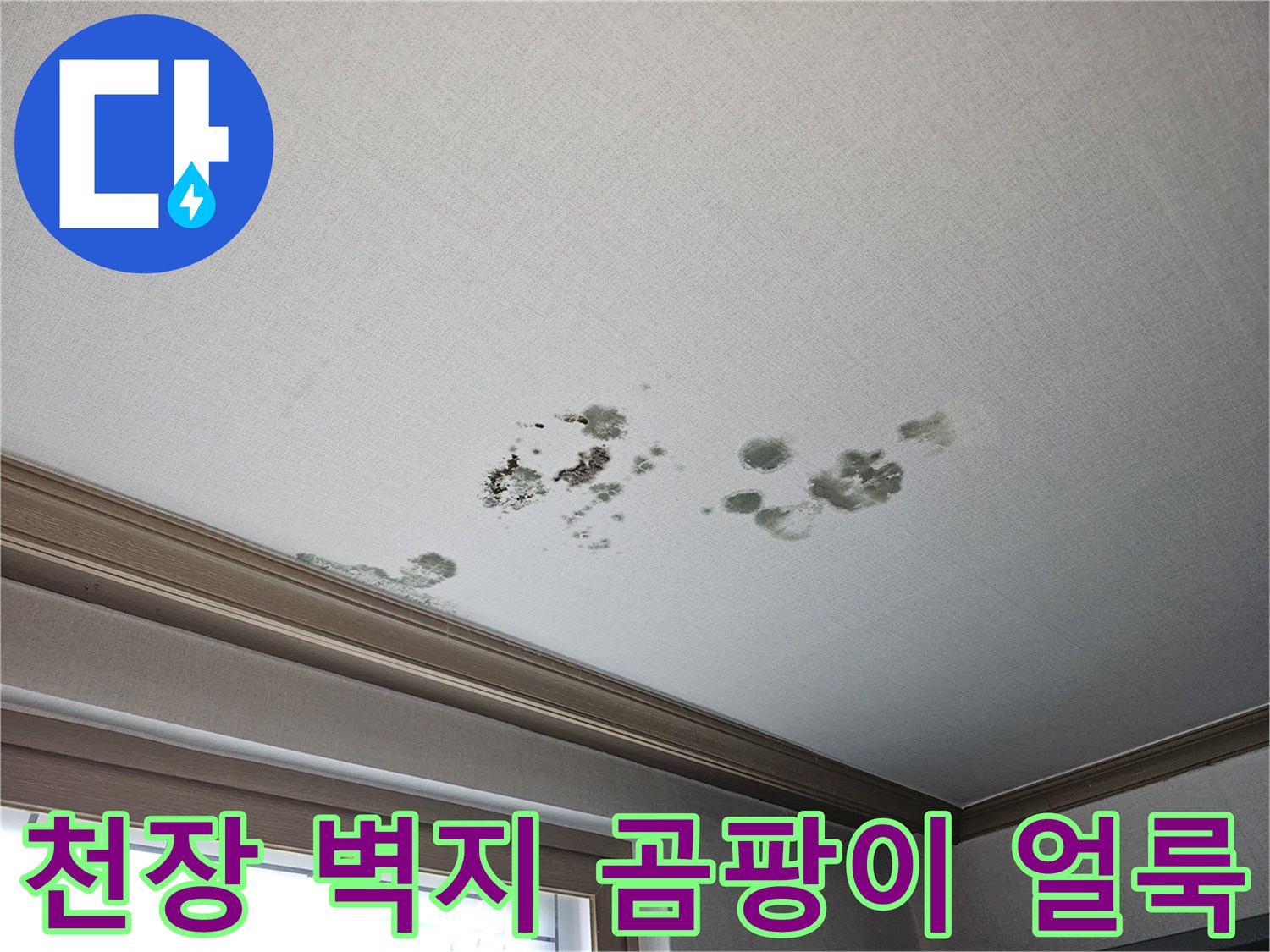 화성-동탄-거실-천장-벽지-물젖음-및-곰팡이-현황