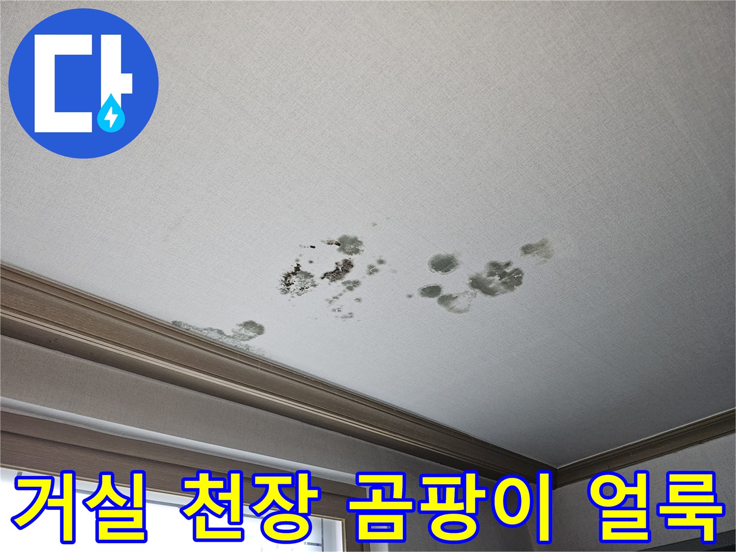 화성 동탄 상가주식 2층 거실 천장의 곰팡이와 물자국 현황