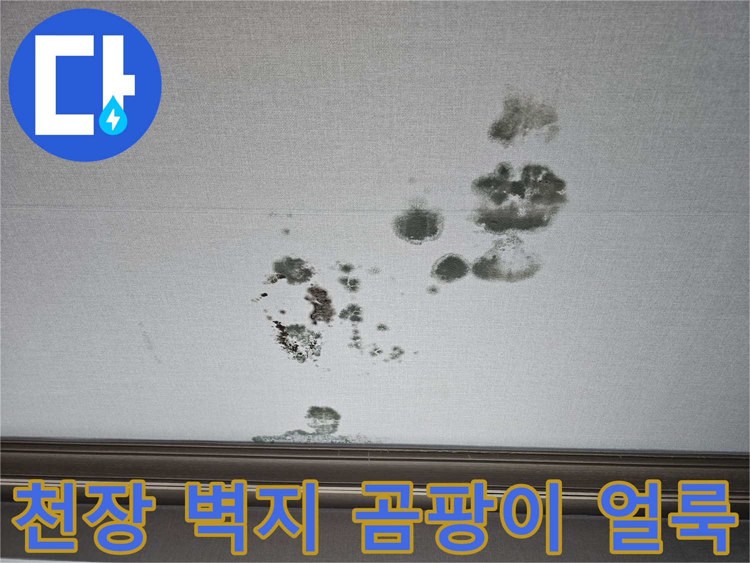 화성 동탄 상가주택-2층 거실 천장 벽지 곰팡이 및 누수 흔적 사진