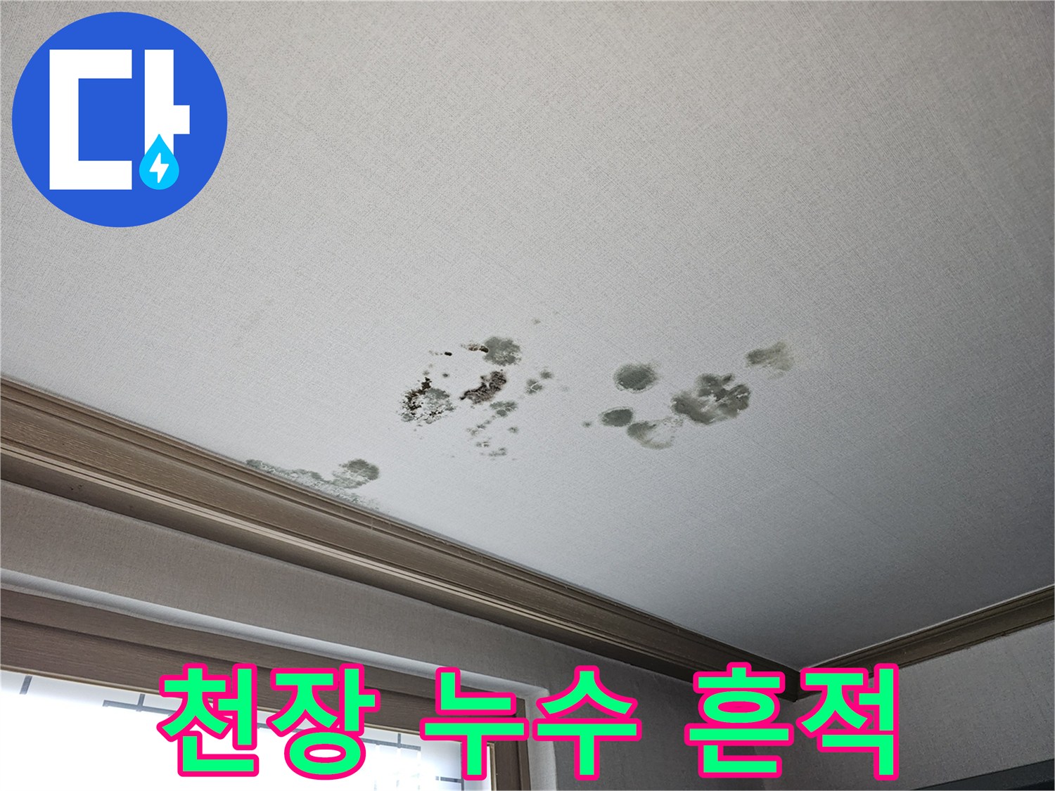 화성 동탄 상가주택 내부 거실 천장의 곰팡이와 물자국
