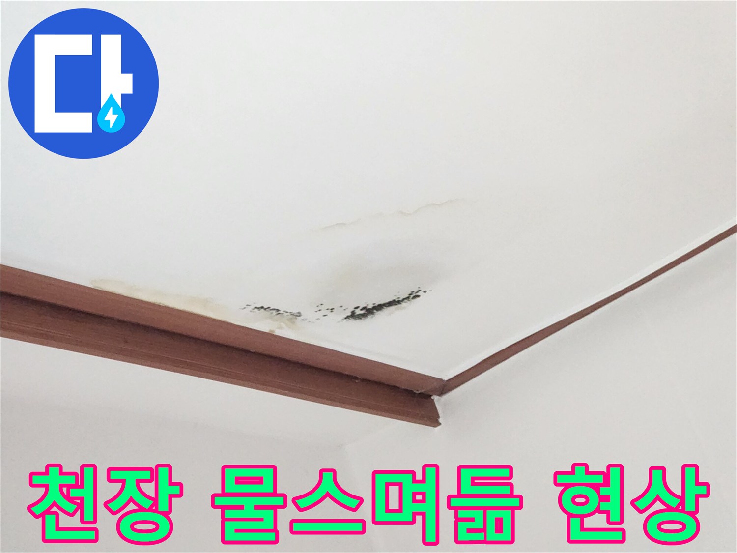 거실-천장-벽지의-누수-흔적과-곰팡이-발생