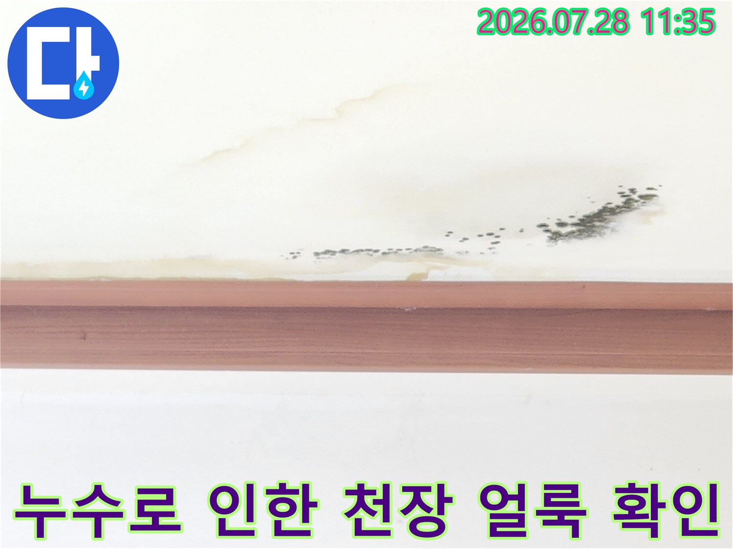 거실 천장의 누수 흔적과 곰팡이 오염 상태