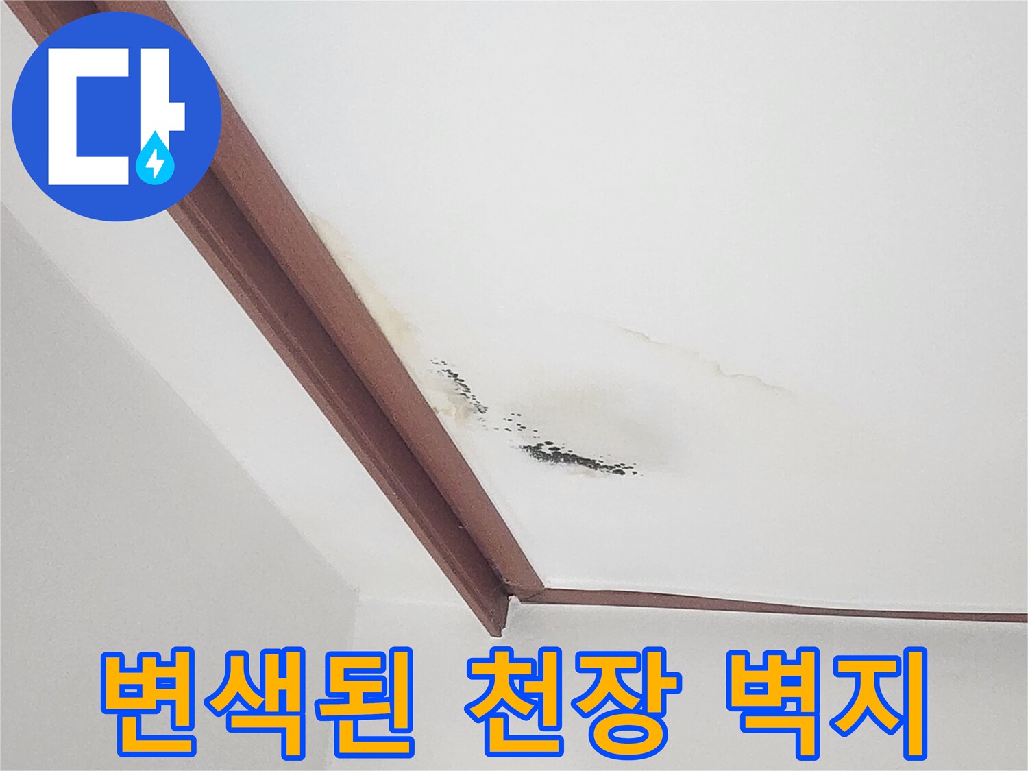 누수로 인해 변색되고 곰팡이가 피어오른 거실 천장 부위