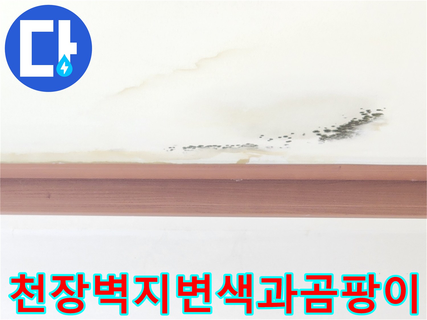 누수로-인해-변색된-천장-벽지-및-곰팡이-발생 부위