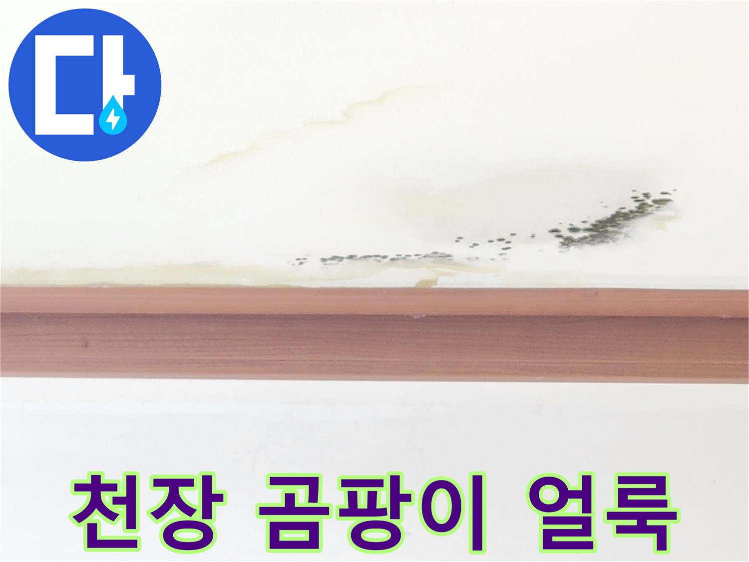 천장 몰딩 부근의 누런 물자국과 검은색 곰팡이 발생