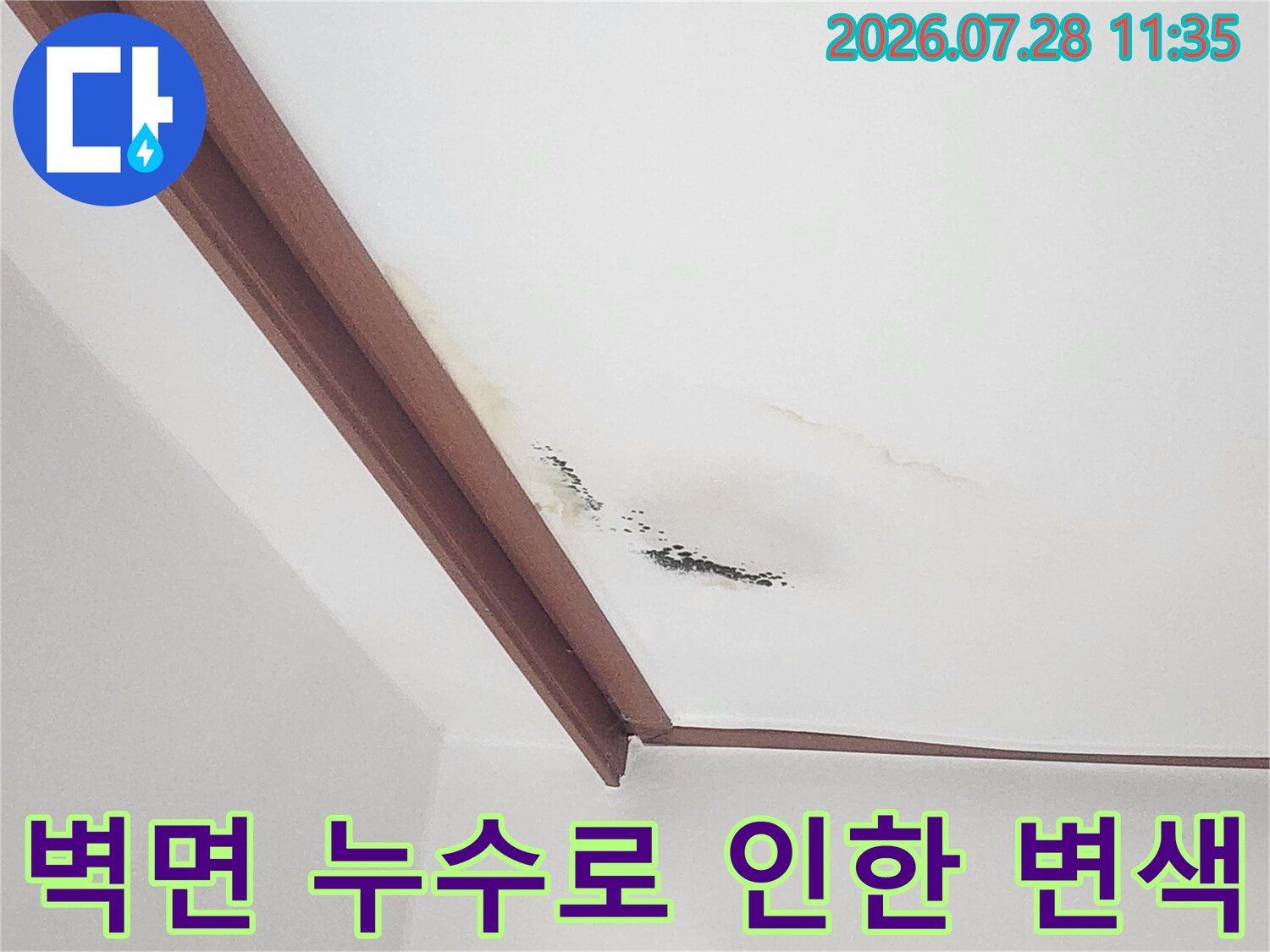 천장 벽면에 발생한 물자국과 곰팡이 오염 상태