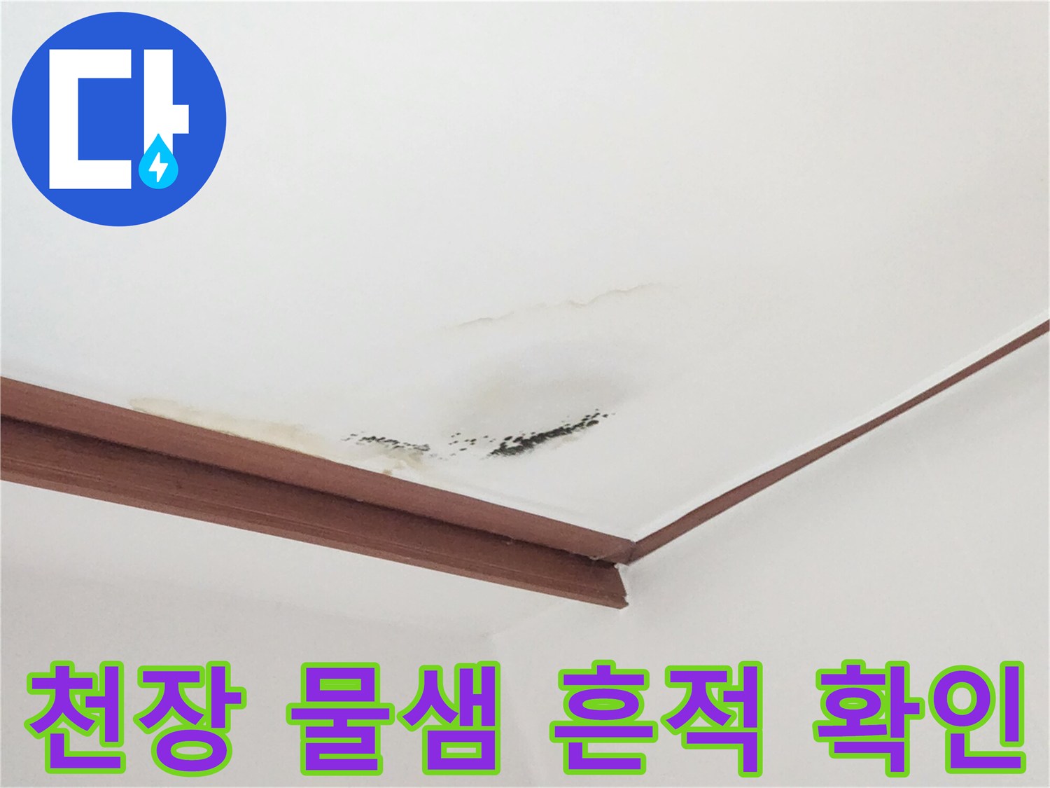 흰색 천장 마감재 위에 나타난 갈색 누수 얼룩과 곰팡이