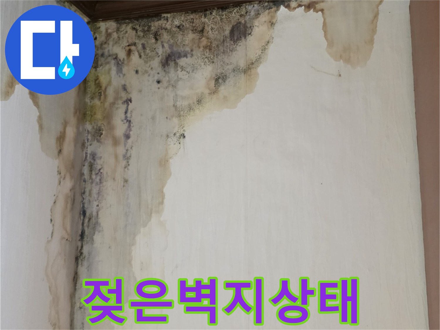 물기에-젖어-들뜬-천장-및-벽면-마감재