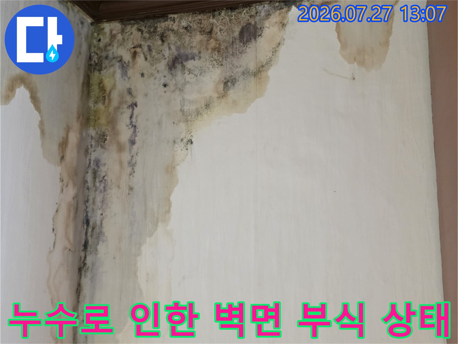 벽지와 천장 경계면에 발생한 심각한 곰팡이 오염과 누런 물 얼룩 사진