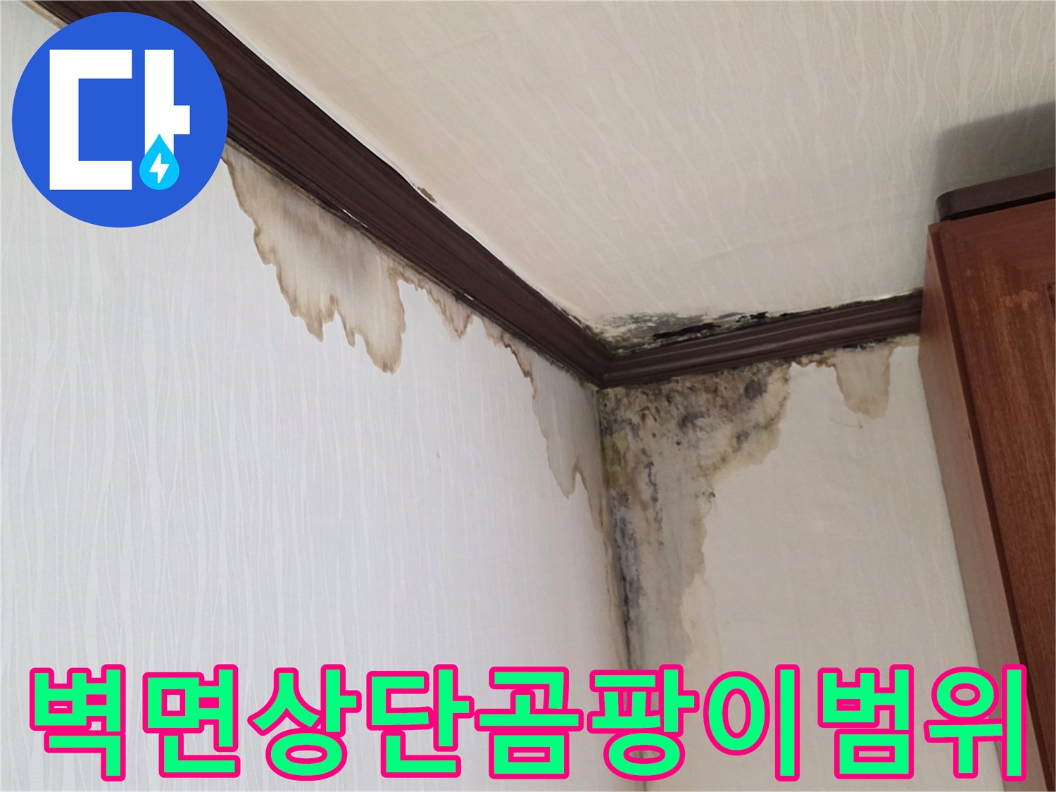 천장-접합부-벽지-변색-및-광범지-곰팡이-발생-모습