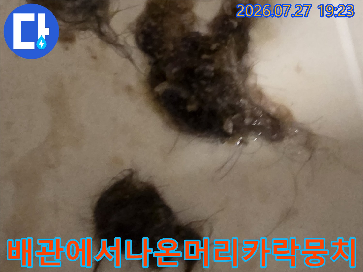오수관-내부-막힘을-유발한-머리카락과-찌꺼기-덩어리들