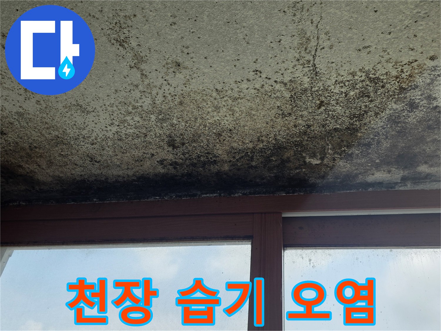 습기로-인해-변색되고-곰팡이가-핀-천장-마감재