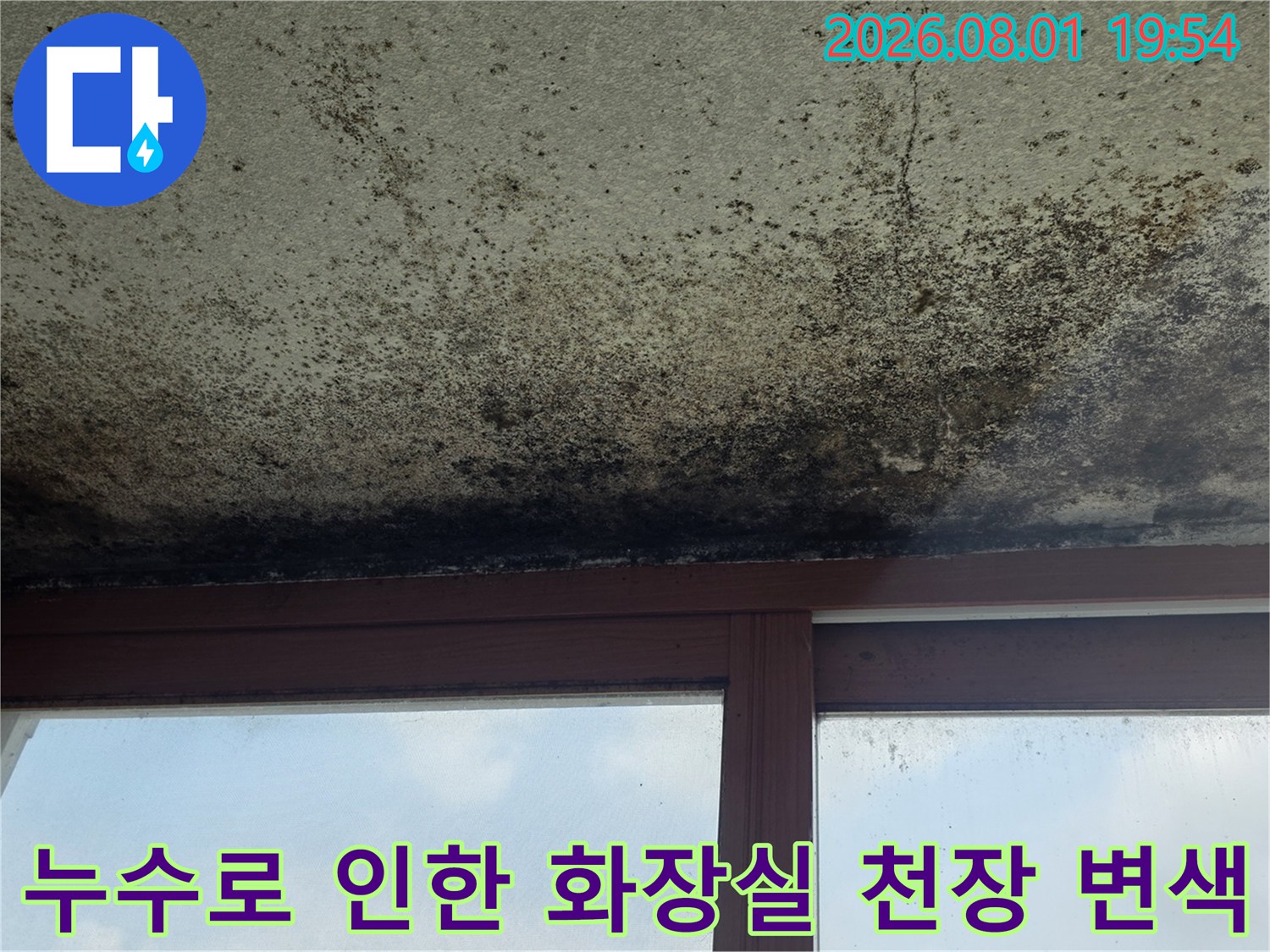 오랜 기간 누수가 발생하여 곰팡이가 번진 화장실 천장의 모습