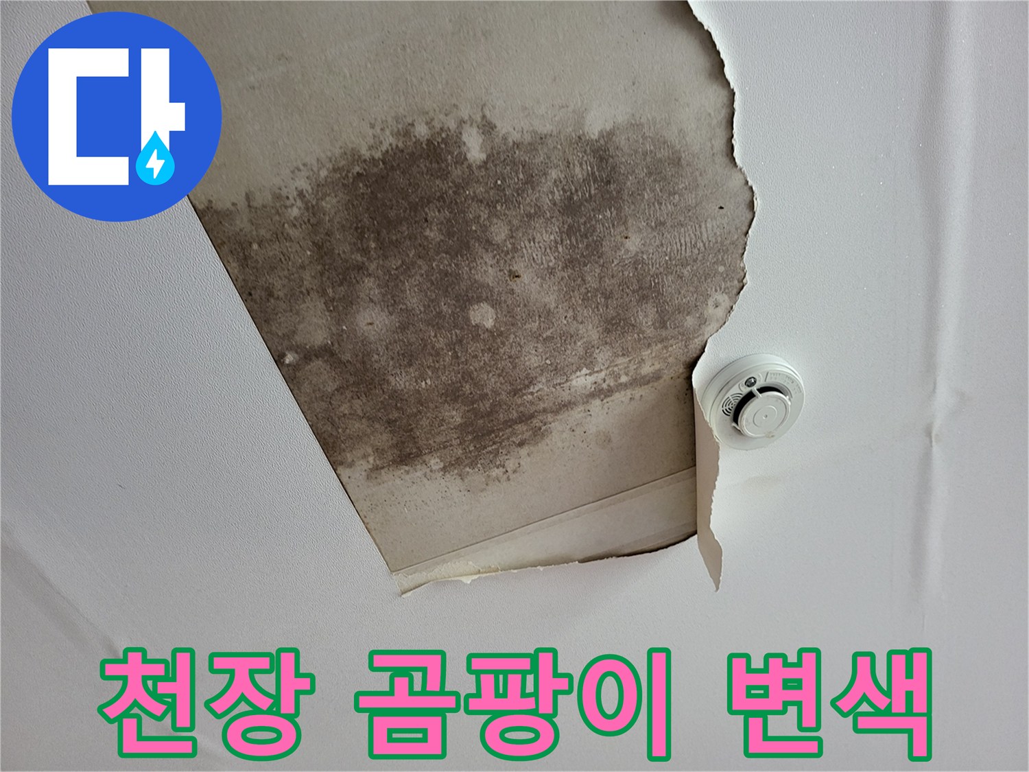 누수 발생으로 인해 검게 변한 천장 석고보드 표면