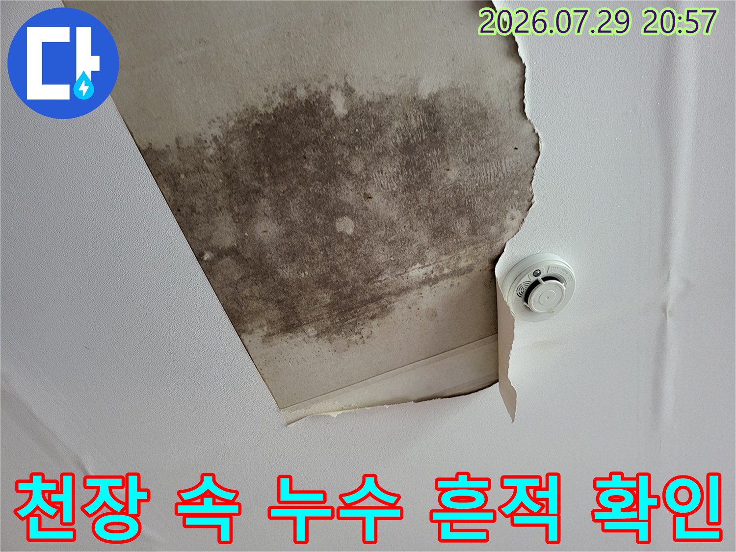 천장 내부의 곰팡이 얼룩과 노출된 구조물을 촬영한 이미지