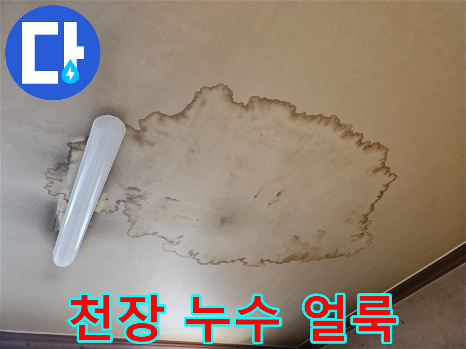 물에 젖어 변색된 천장 마감재의 넓은 면적